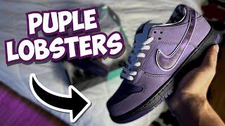 NIKE SB DUNK "PURPLE LOBSTERS" (Shoe Review + Try On)