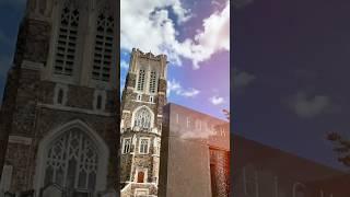When did you fall in love with Lehigh?