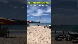 [풍경] 태국 푸켓 해변의 숲과 나무 ️