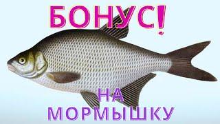 Бонусный лещ на спиннинг, мормышку, рыбалка в Удмуртии, Усть-Бельск