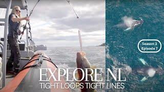 Cod fishing, snorkelling and exploring in Newfoundland!