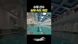 수영 선수 실제 속도 체감
