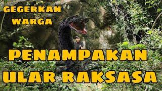 Virall ‼️Detik detik youtuber merekam ULAR RAKSASA di dalam goa