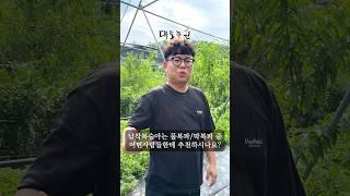 납작복숭아는 물복파, 딱복파 중에 어떤사람한테 추천하나요?