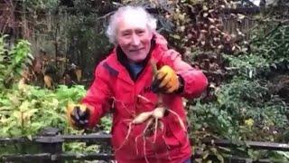 How to take care of your dahlias in the winter - New Day NW