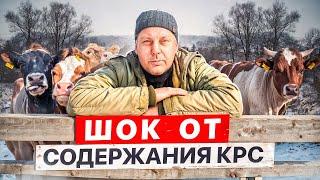 ШОКИРУЮЩЕЕ признание: разочарован ли я в КРС и что будет дальше?! 