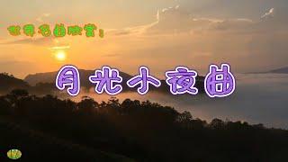 月光小夜曲 - 小提琴，世界名曲欣赏