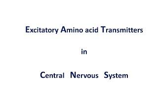 CNS-2 Excitatory Neuro-transmitter: Glutamate (BP404T)