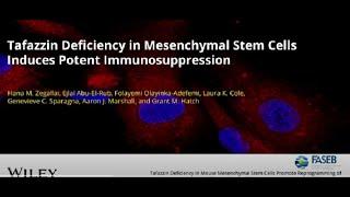 The FASEB Journal Video Abstract: Tafazzin Deficiency