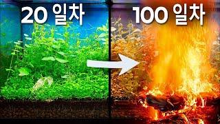 100일간의 숲 시뮬레이션