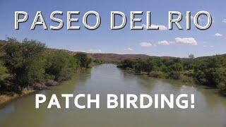 Paseo del Rio, New Mexico:  Our local patch!