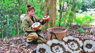 `Harvesting ground bees early in the season - Cooking and taking care of pets