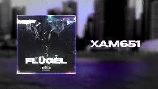 XAM651 - FLÜGEL