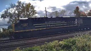 I Was Filming a CSX Train Then This Happened! CSX Train Crosses Over Track 1 to 2 Seaboard HU + More