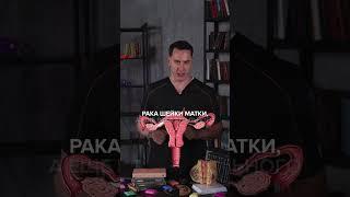 Эти вакцины защищают от рака