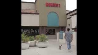 Aaron's Animals - Movie Theatre Mission