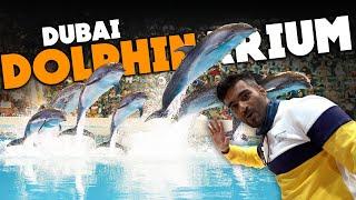 Dubai Dolphinarium | Dolphin, Seal & Exotic Bird Show | Rayna Tours