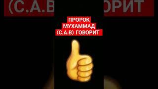 ПРОРОК МУХАММАД  (С.А.В) ГОВОРИТ. #quran #hadis #iman #коран #тикток
