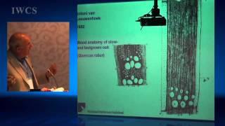 Wood Science for Wood Culture - Past, Present and Future