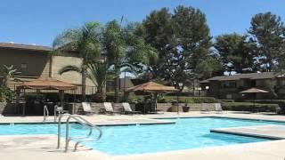 Birchwood Village Apartments in Brea, CA - ForRent.com