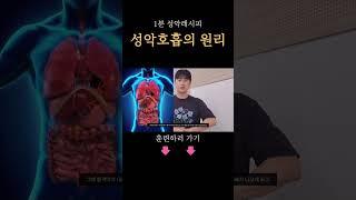 성악호흡의 중요한 기본원리!! #성악발성 #성악레슨 #호흡법 #복식호흡