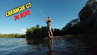 Je pêche une Carangue GT du BORD | Mangrove | Nouvelle-Calédonie