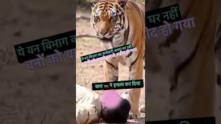Tigers  attack on Forest guard #ytshorts #police #forest #army #tiger #sad #emotional