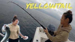 Found BIG YELLOWTAIL on an Epic Island Day ||| HONEY HOLE FISHING