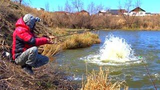 В МЕСТЕ ГДЕ БУРЛИТ ВОДА СОБРАЛАСЬ ВСЯ РЫБА! Рыбалка на джиг, поплавок, и закидушки.