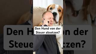 Hund schon abgesetzt?  #steuererklärung #hund #haustiere #finanzen #steuertipps