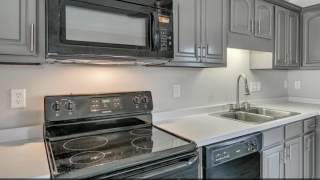 13008 Highway 216 | Jack Ryan