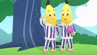 The Bouncing Bananas | Bananas In Pyjamas