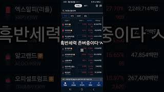 에이다 버티자 형들 우리는 세력이다