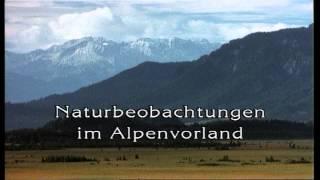 Das Alpenvorland in Oberbayern