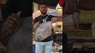 Latest Fish Rates of Mumbai Fish Market | मासे खरेदी करण्यासाठी सध्याचे दर जाणून घ्या