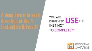 A deep dive into each direction of the 4 Instinctive Drives® – Use Complete