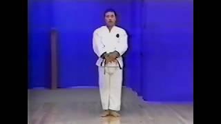 Goju ryu kata  Sepai Front view Full speed and power