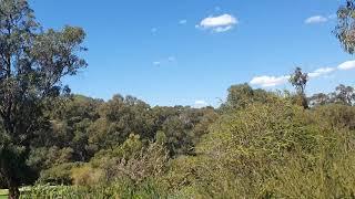 Wildflower Festival Bike Tour Kings Park Western Australia