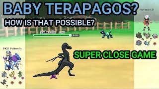 Playing VS "Baby" Terapagos? (Pokemon Showdown Random Battles) (High Ladder)