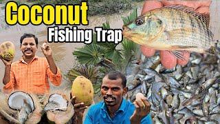 இளநீர்க்குள் மீன்-வித்தியாசமான பொருளை வைத்து மீன் பிடித்து காணொளி|Fish Curry - Coconut Fish-Trap