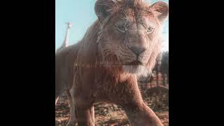 "The Fallen King" - Scar "Mufasa: The Lion King" Edit | EMIN ft. JONY - Каmin (slowed)(tiktok remix)