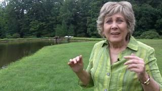 Sylvia Lafair answers "What is a Pattern?"