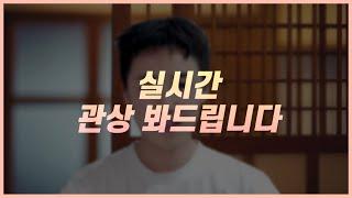 연말 기념 시청자 무료 관상 봐주는 중