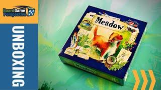 Unboxing MEADOW | Board Game Perspective