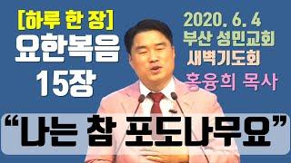 [하루 한 장] 요한복음15장_나는 참 포도나무요