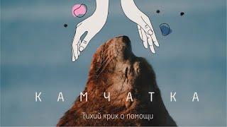 Kamchatka: a silent cry of Pacific