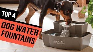 4 Best Dog Water Fountains Reviews 2019