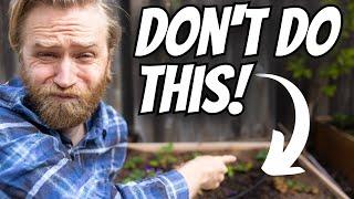 Raised Bed Gardening Basics: 9 Mistakes to Avoid for Success