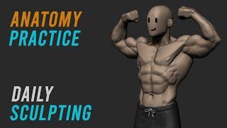 Anatomy Practice - Male Torso (Daily Sculpting Practice)