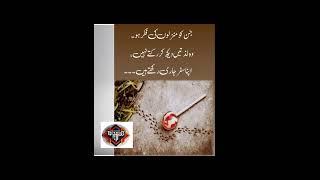 Mola Ali ka farman Mubarikh #ytshorts#poetry #shorts #urdu #urduquotes #trending #islamicquotes